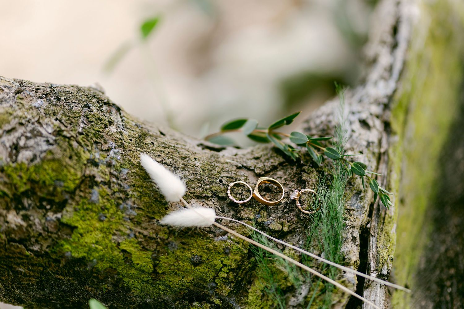 Blue Venado Weddings photography – intimate beachfront ceremony.