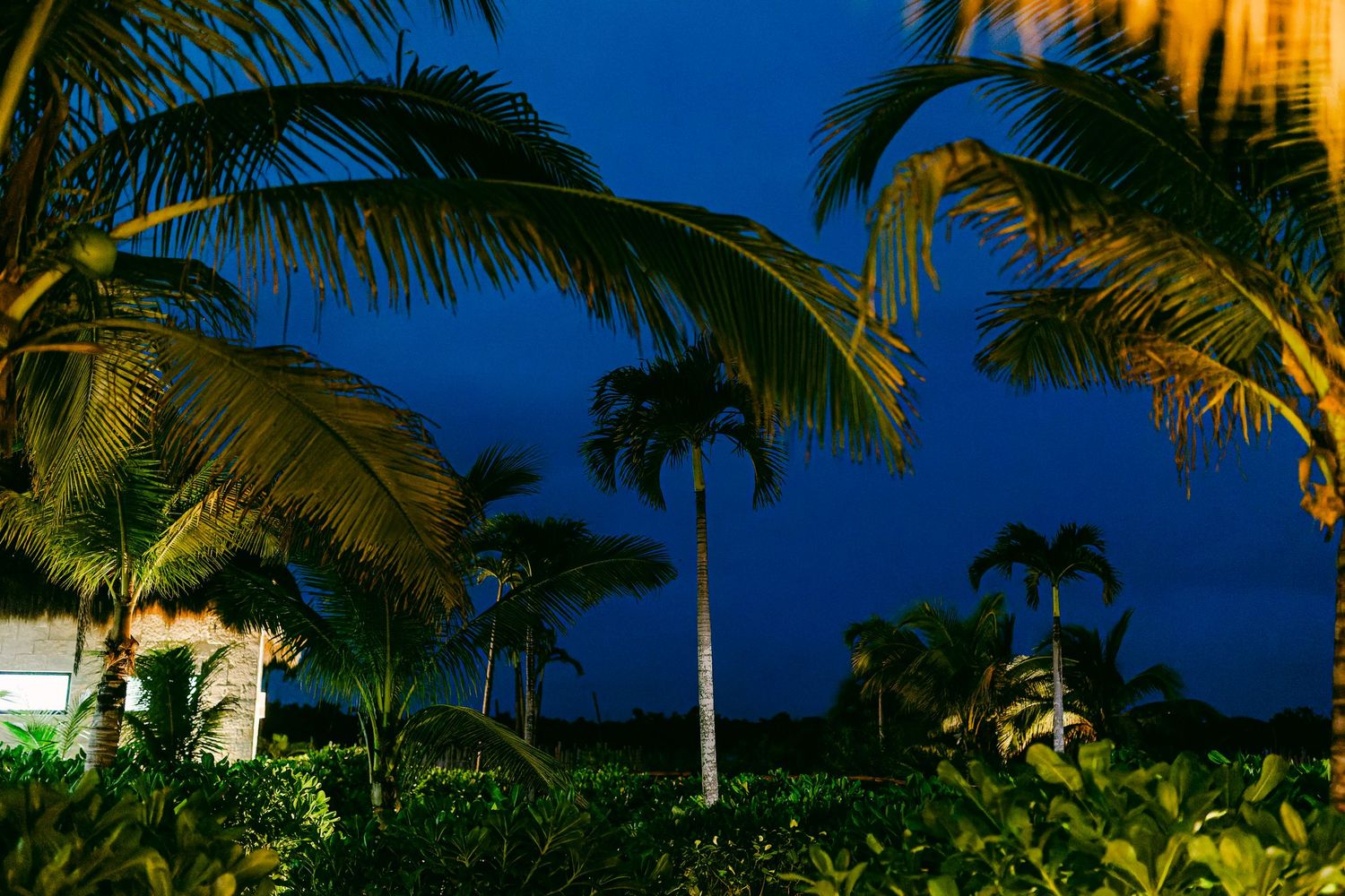 Blue Venado Weddings photography – intimate beachfront ceremony.