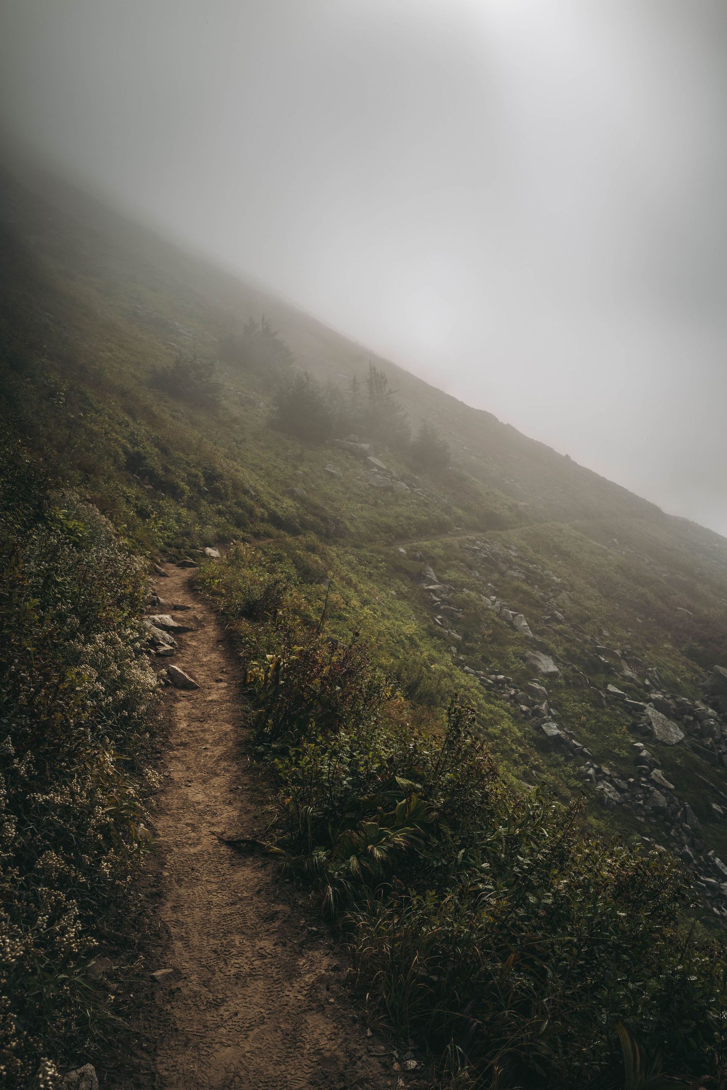 Narrow dirt hiking trail winding up a misty fog-covered green mountain hillside with scattered rocks.