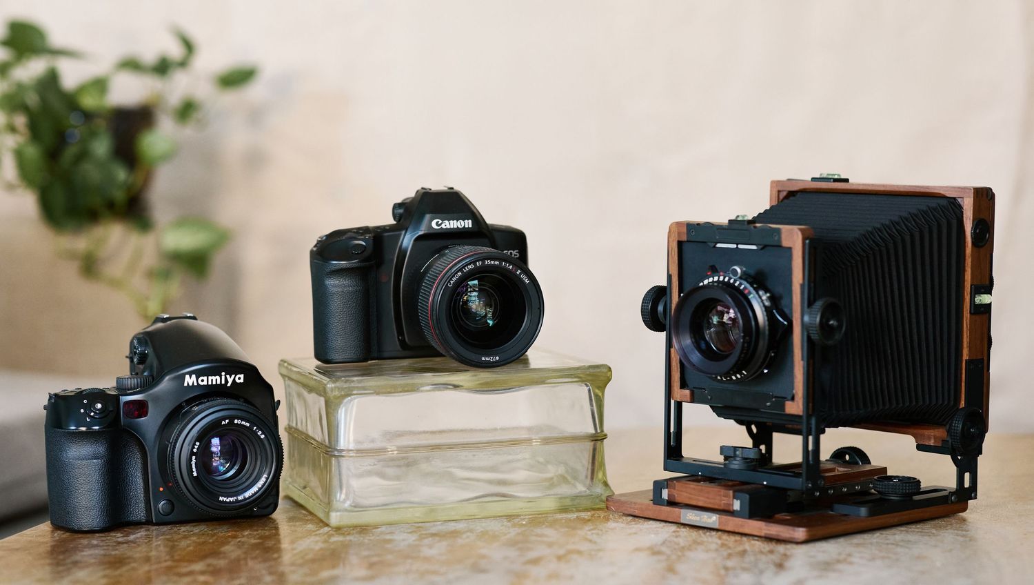 A collection of vintage and modern film cameras arranged in a row on a wooden surface.
