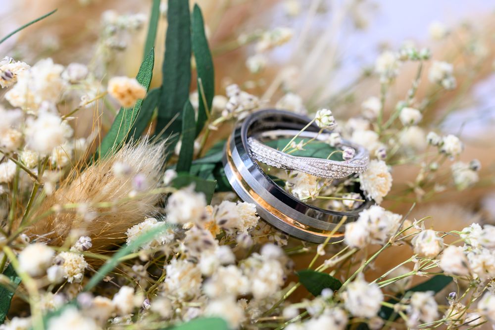 Ringwood Hall wedding photographer