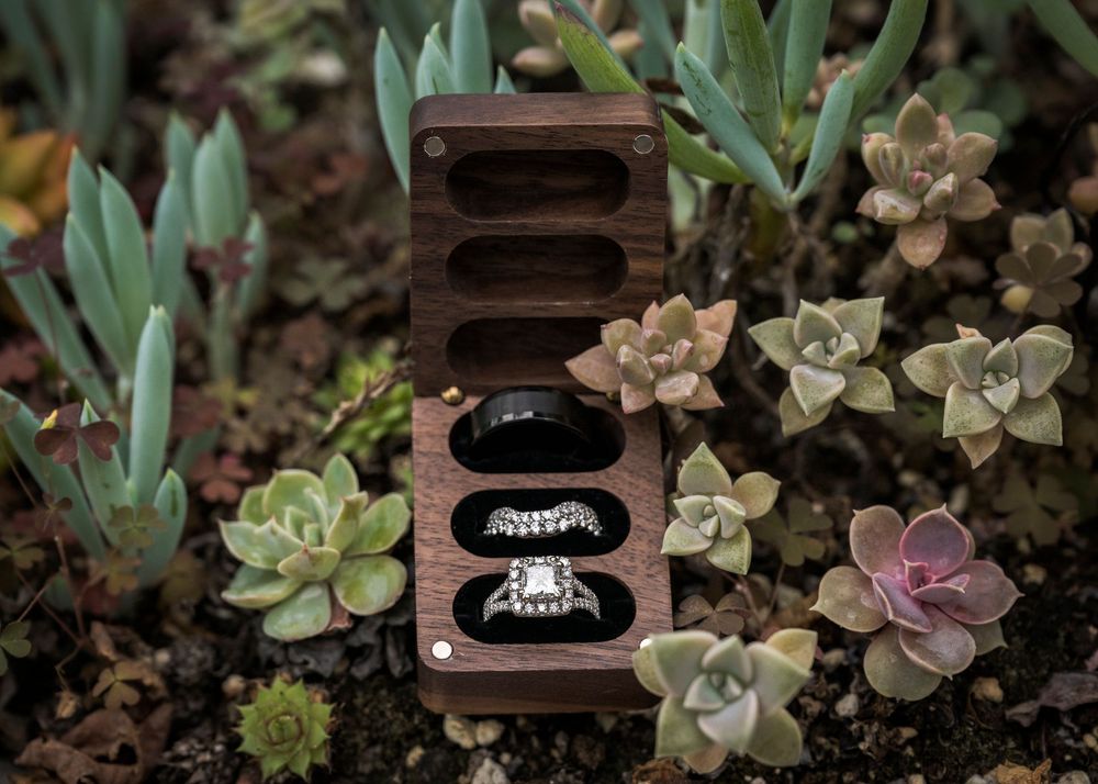 Wooden ring box with wedding bands and diamond engagement ring among succulents.