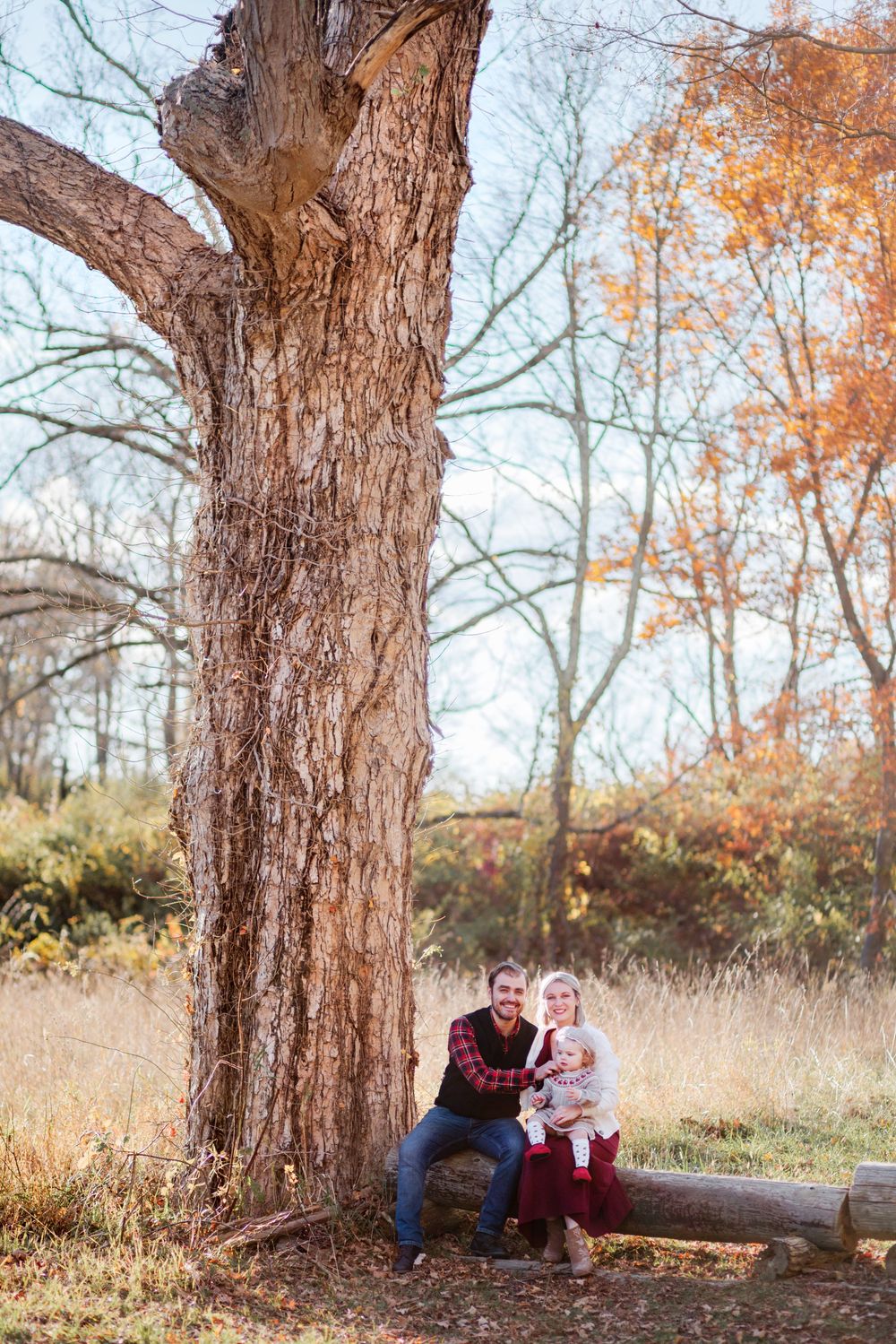 A family sits together beneath a large tree trunk in an autumn landscape with fallen orange leaves.