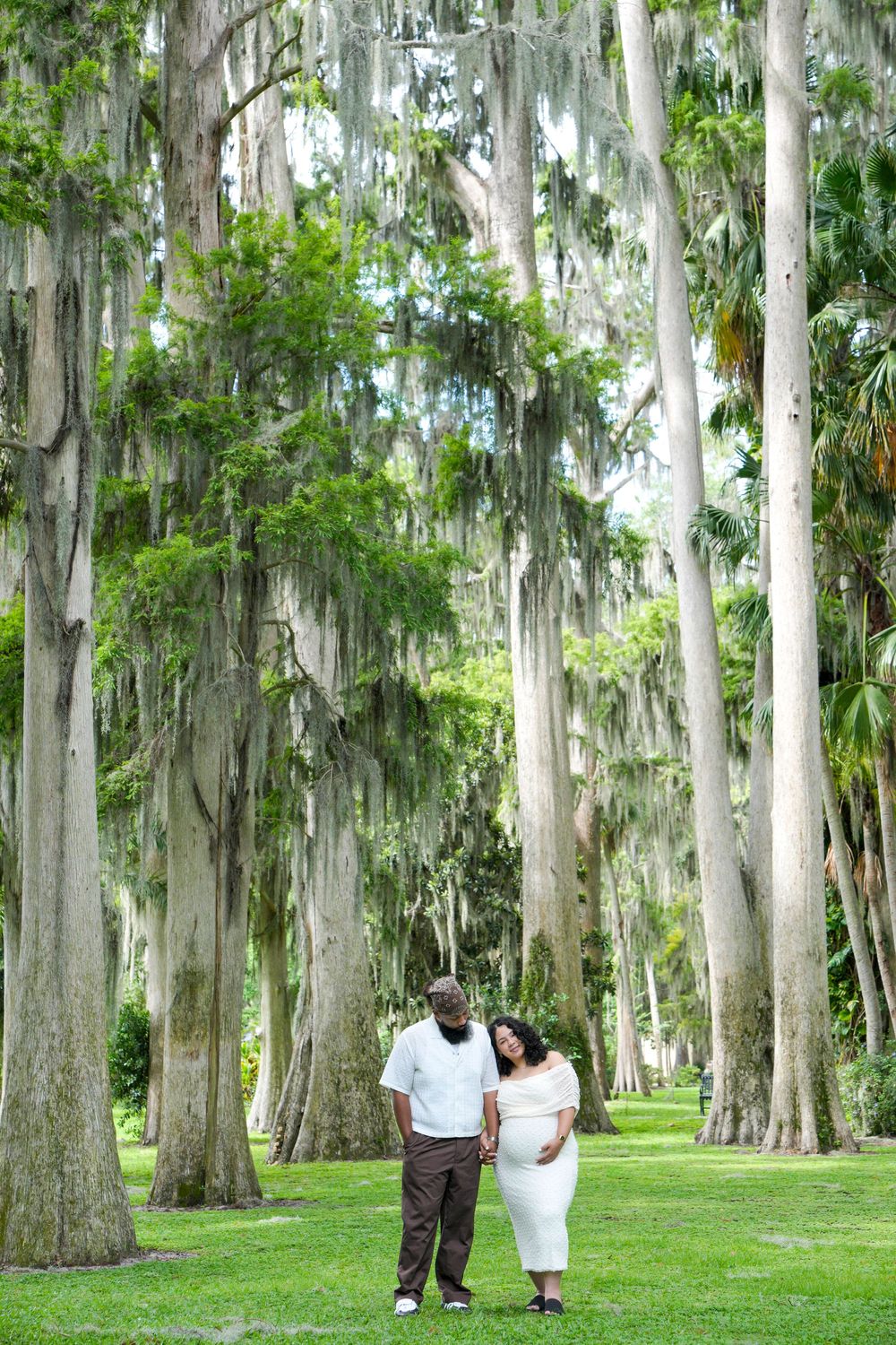 Tall cypress trees draped with Spanish moss create a dramatic natural archway in a lush Southern park setting.