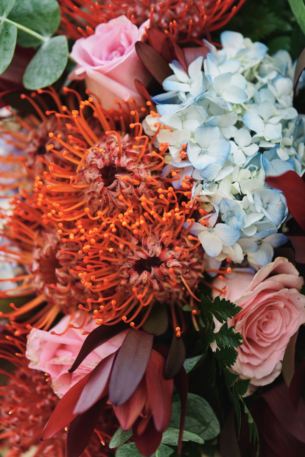 A stunning floral arrangement featuring bright red protea flowers, pink roses, and delicate white hydrangeas.