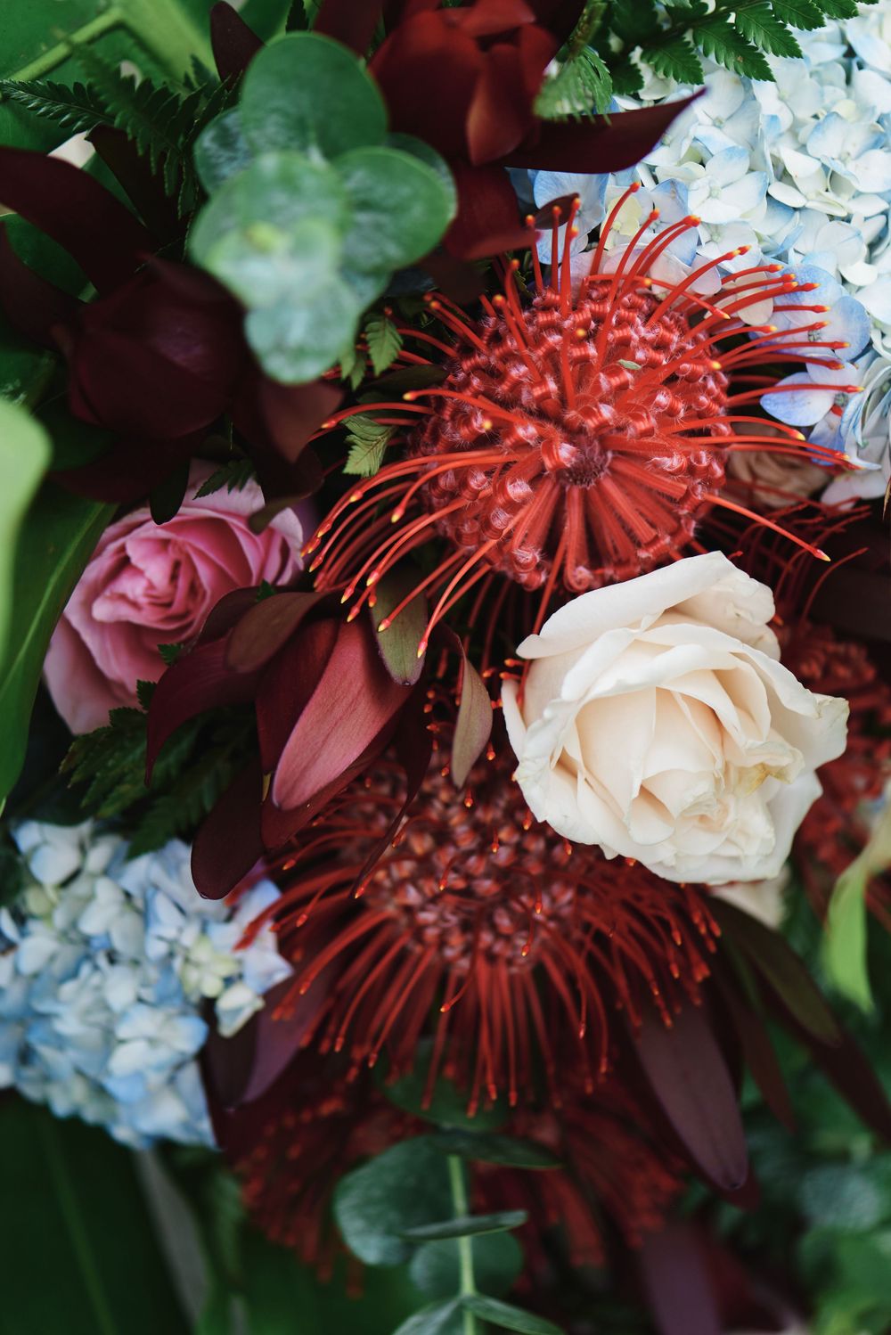 Vibrant floral arrangement featuring red protea, white roses, and blue hydrangeas.