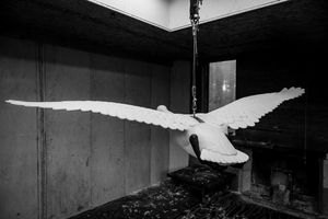 Black and white photograph of a flying seagull in motion against a dark background.