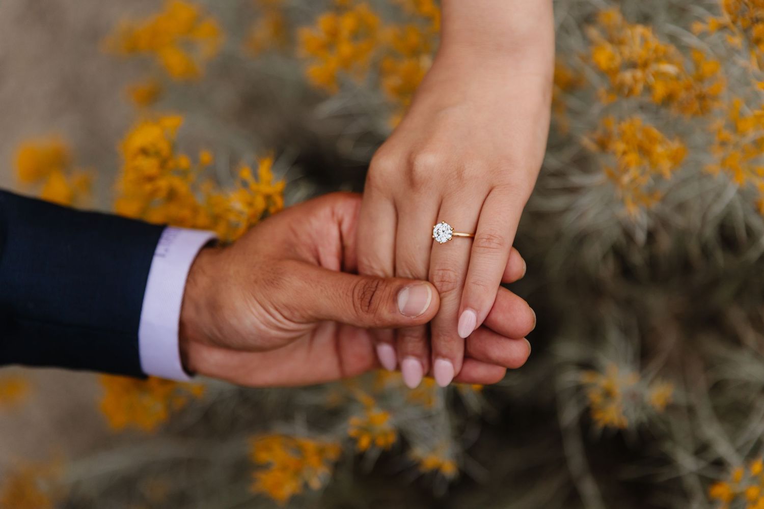 Close up view of hands wearing engagement ring in West Kelowna at Sanctuary Gardens for proposal photoshoot with local photographer