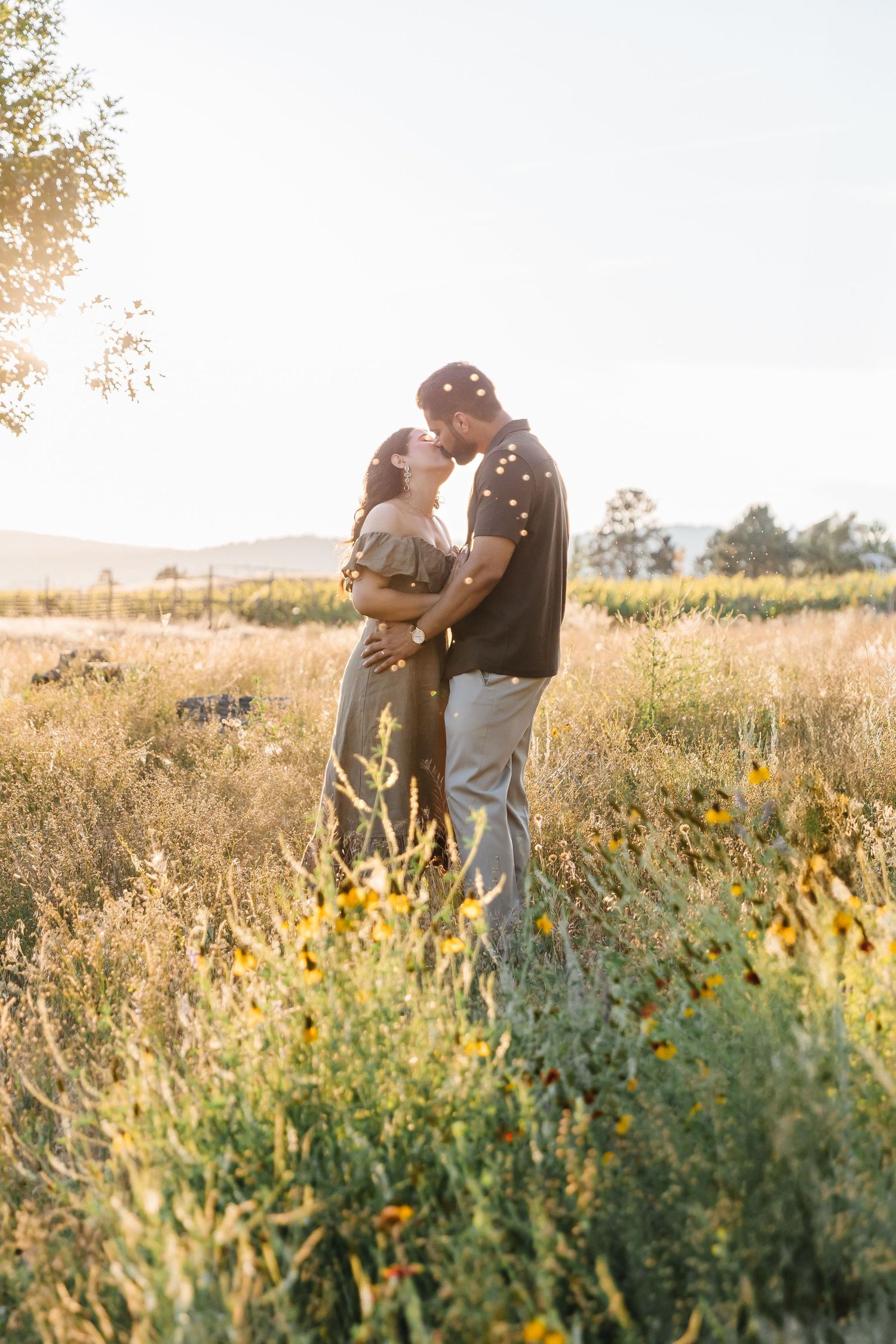 A couple kisses in a golden meadow filled with wildflowers during sunset photoshoot in West Kelowna, BC at Sanctuary Gardens in the summer.