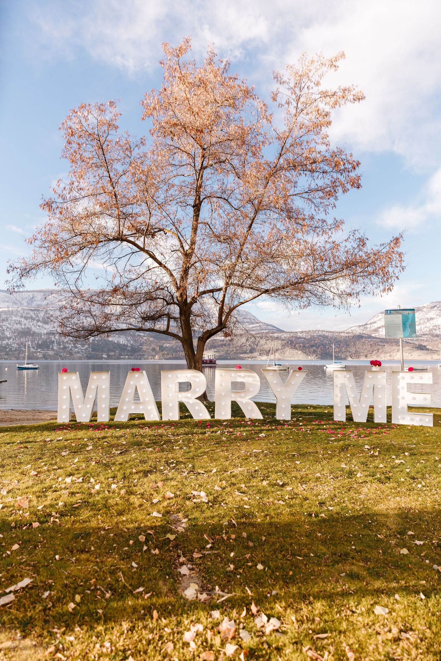 A surprise proposal at Okanagan lake set up with marquee signs on the beach for a photography photoshoot in Kelowna bc