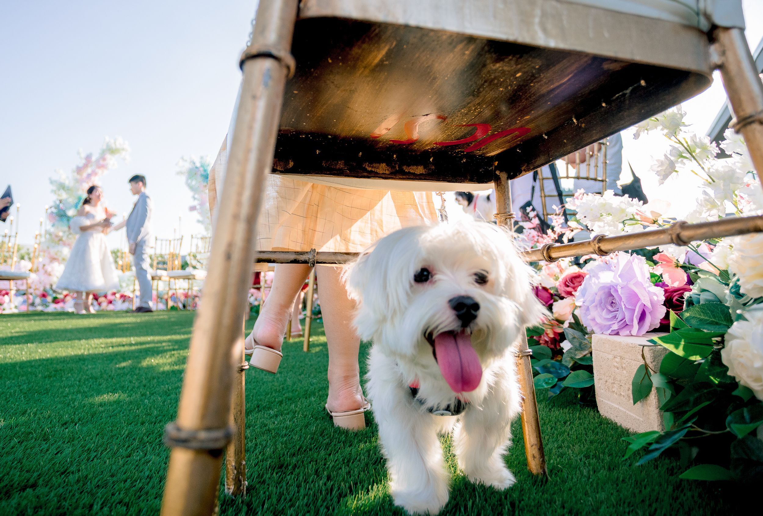 Kyle & Rowena | Pastel Rooftop Wedding
