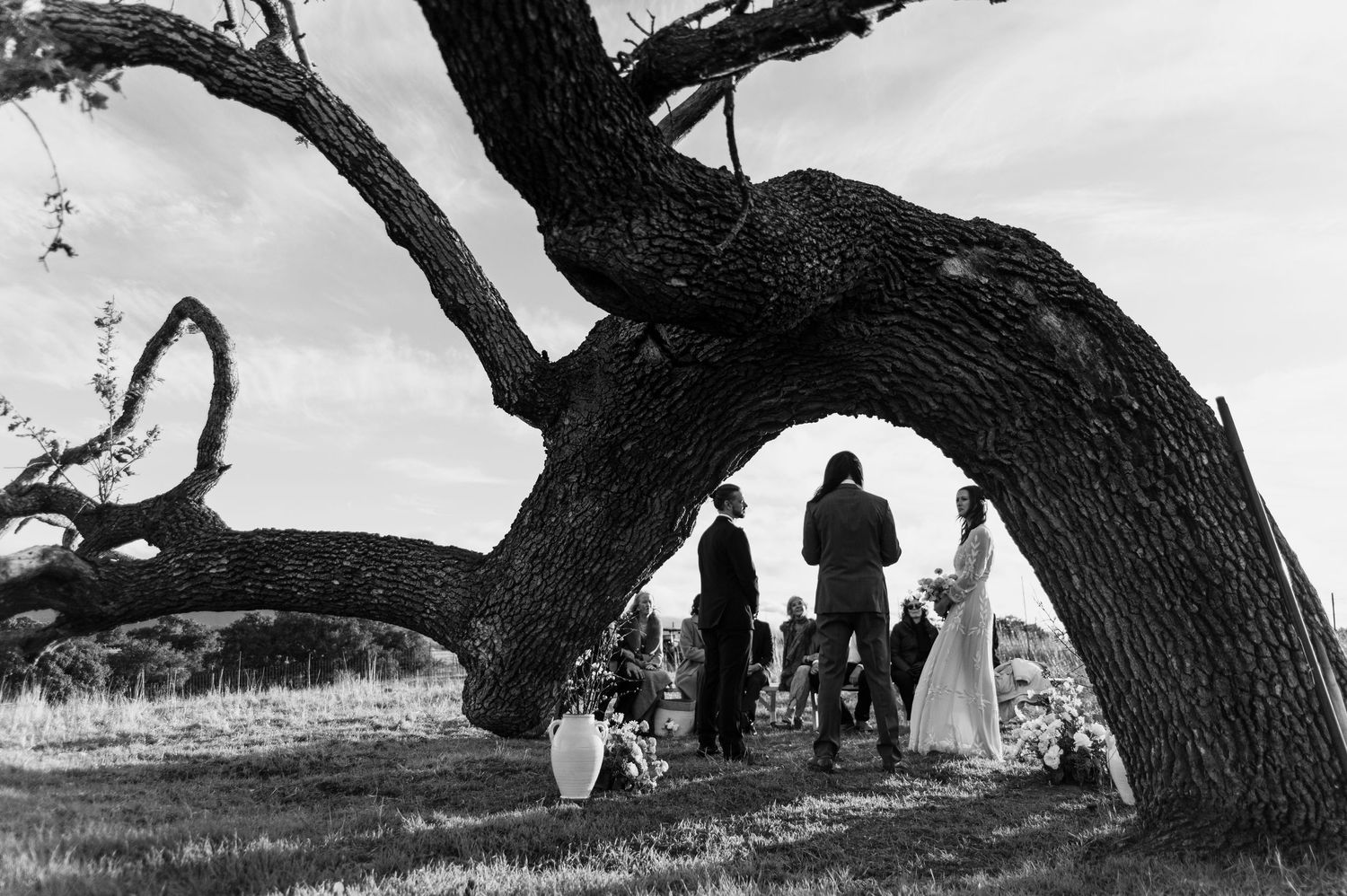 An outdoor ceremony takes place under a large twisted oak tree with participants gathered beneath its curving branches.