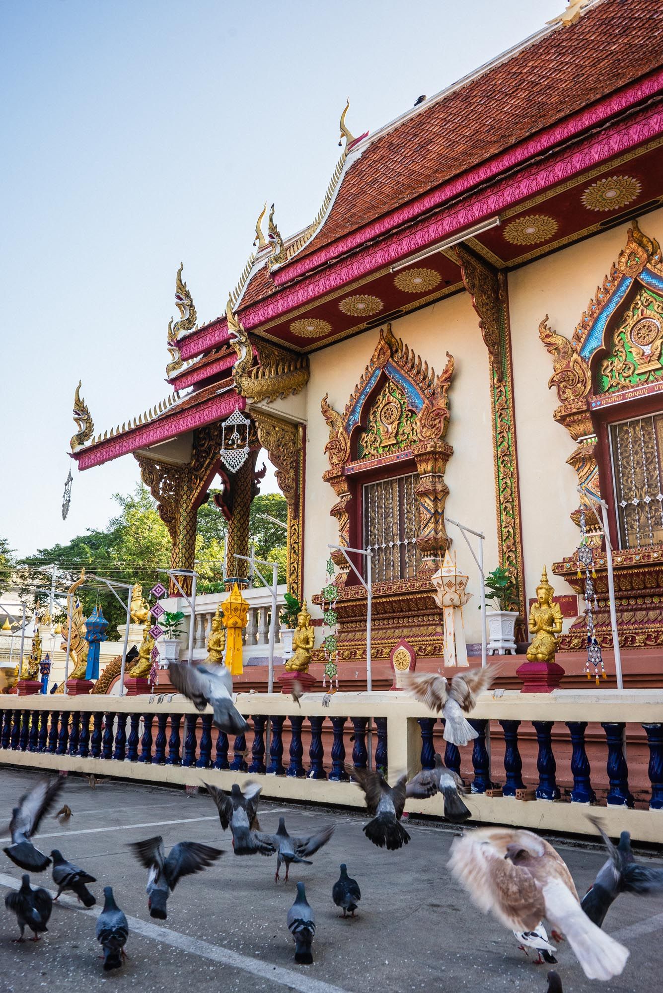 A sequence of photos showing pigeons taking flight in front of an ornate Thai Buddhist temple with golden decorative details.