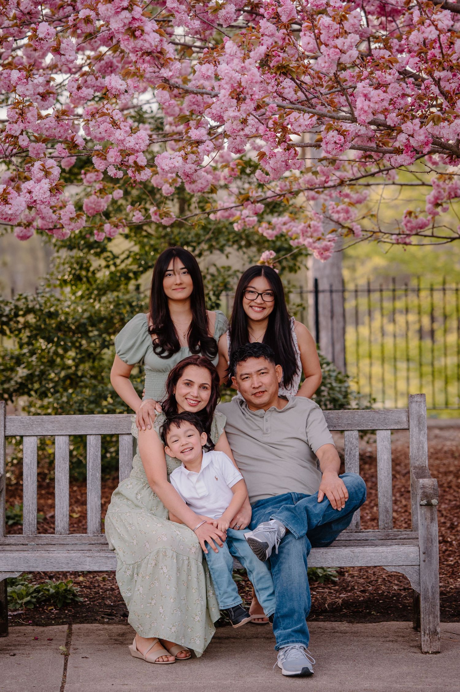 A family sits together for a portrait under blooming pink cherry blossoms in springtime in Cincinnati OH by K Herman Photography