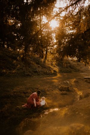 A dreamy golden sunset filters through trees along a forest path creating a magical autumn atmosphere.