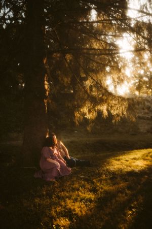 Sunlit forest scene with golden rays filtering through trees as figures sit in dreamy autumn landscape at sunset.