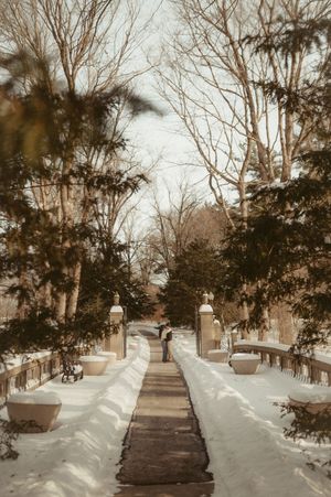 Snow covered pathway through a winter park with bare trees and evergreens lining both sides of the walkway.