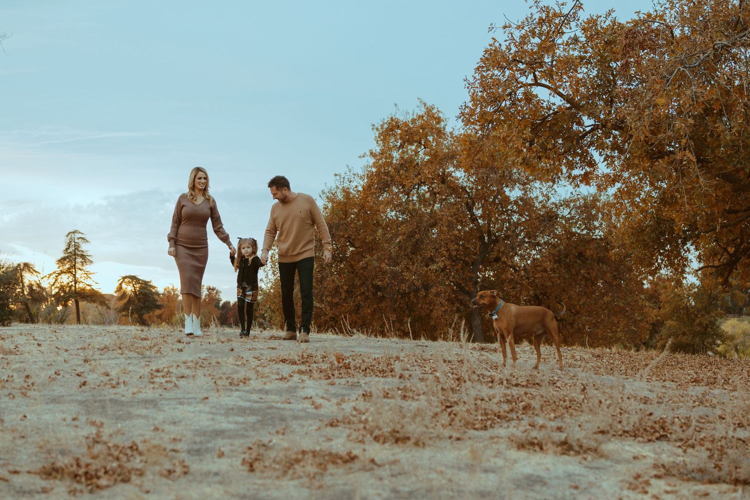 golden hour family session with dog