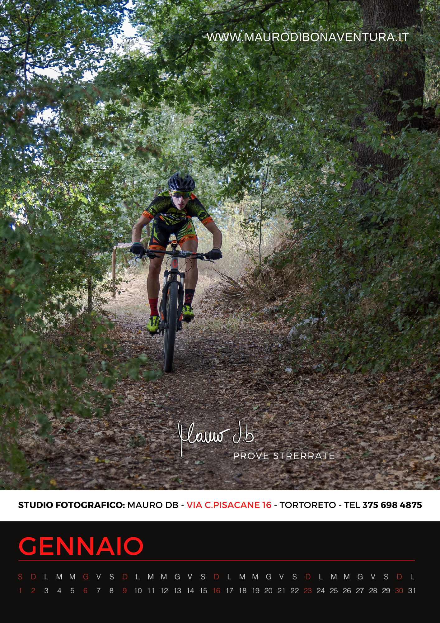 Mountain biker riding through shaded forest trail surrounded by green trees.