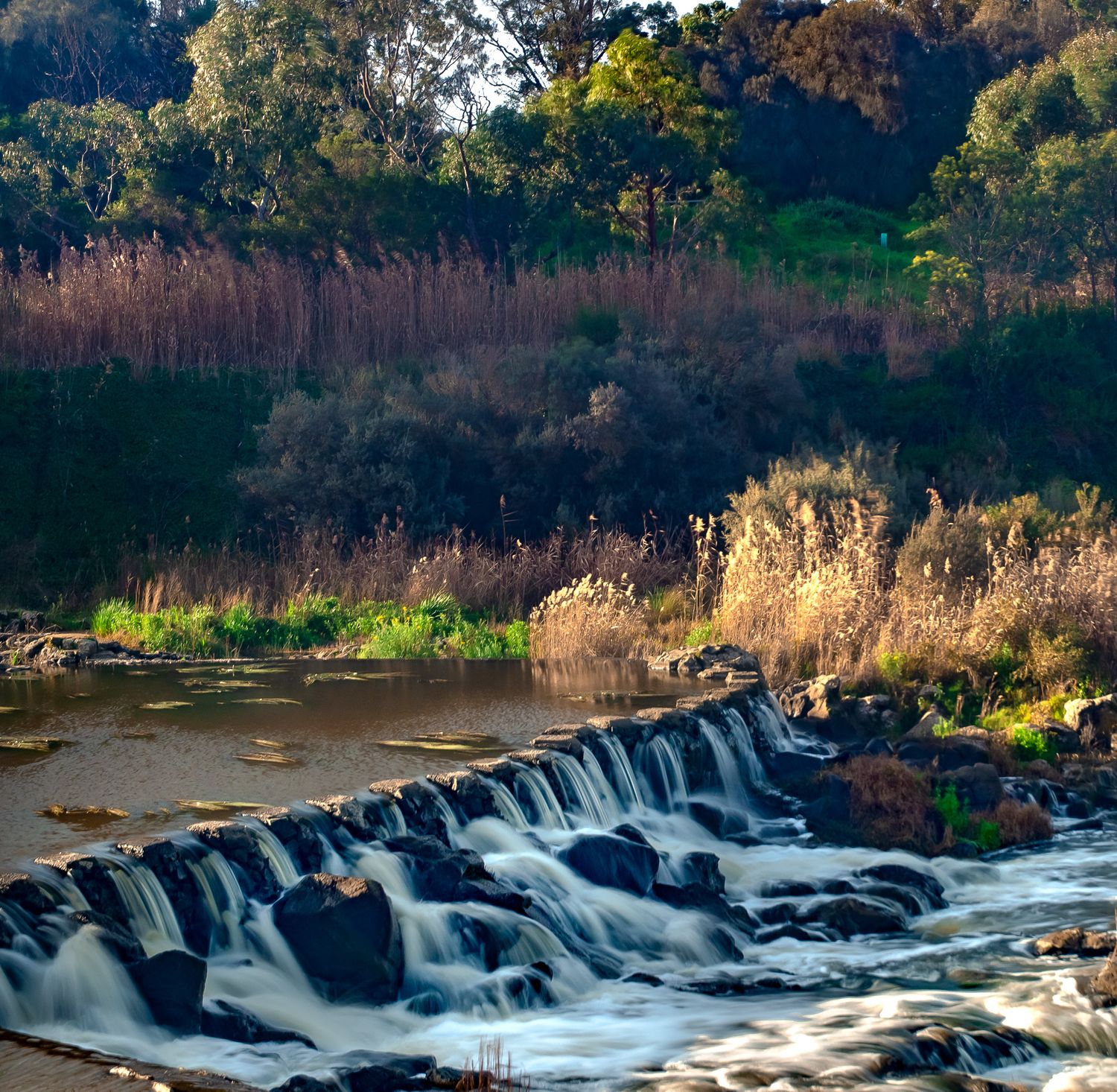 Falls