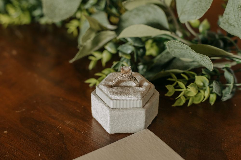 Small white hexagonal ring box with wedding rings surrounded by green foliage.