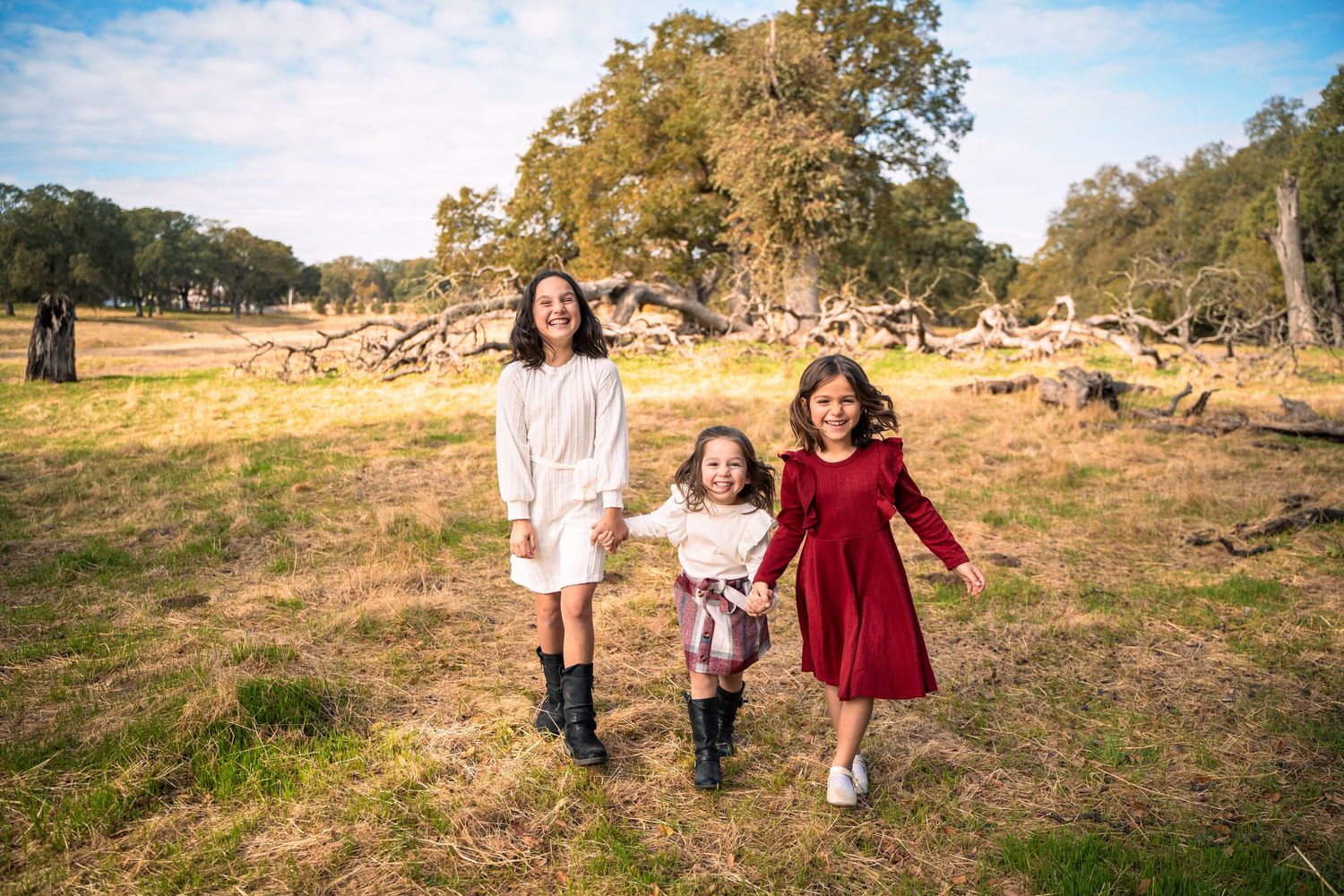 Three children walking together through sunny field with oak trees in background.