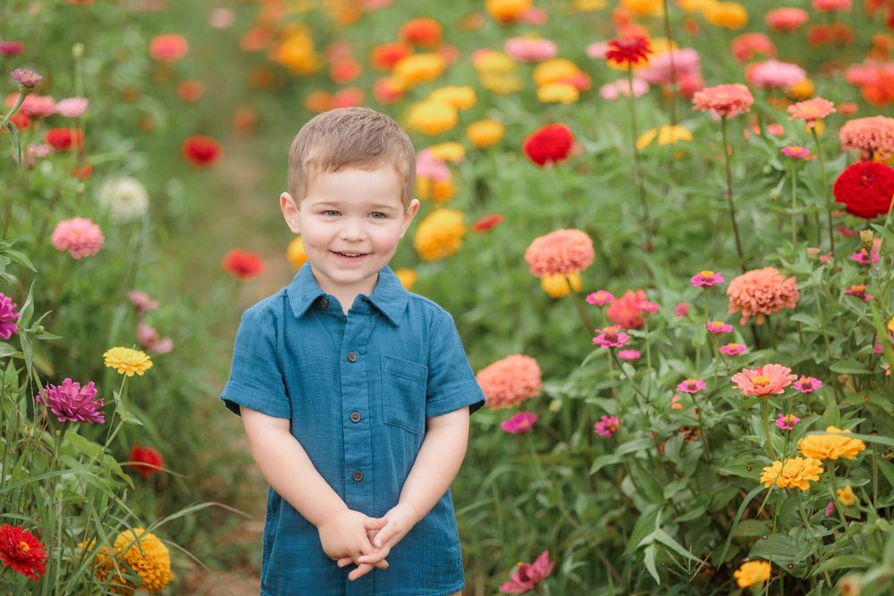 Smiling young boy in blue shirt standing in a vibrant field of colorful zinnia flowers outdoors.
