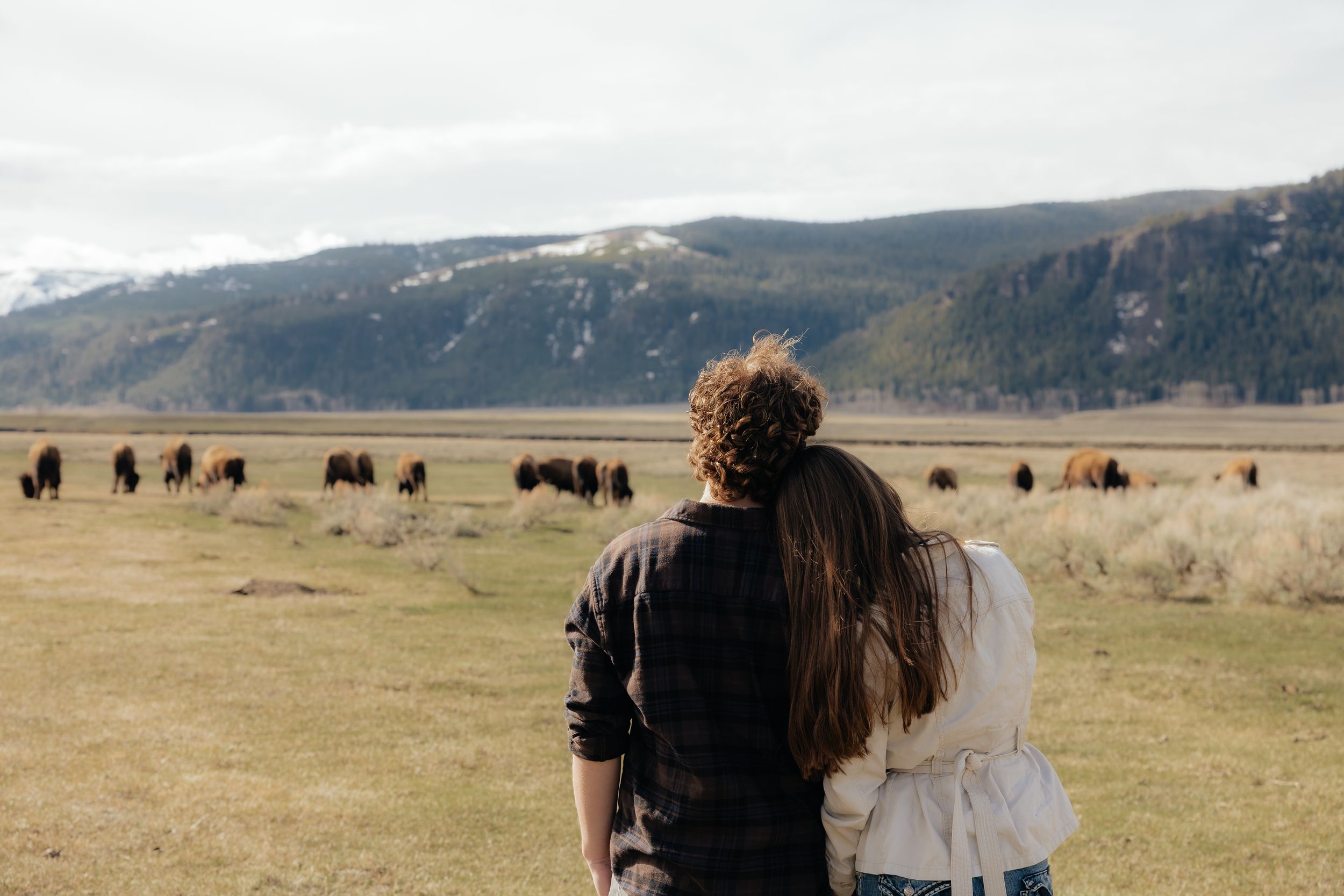 Couple gazing at bison grazing in a vast green meadow with mountains in the background.