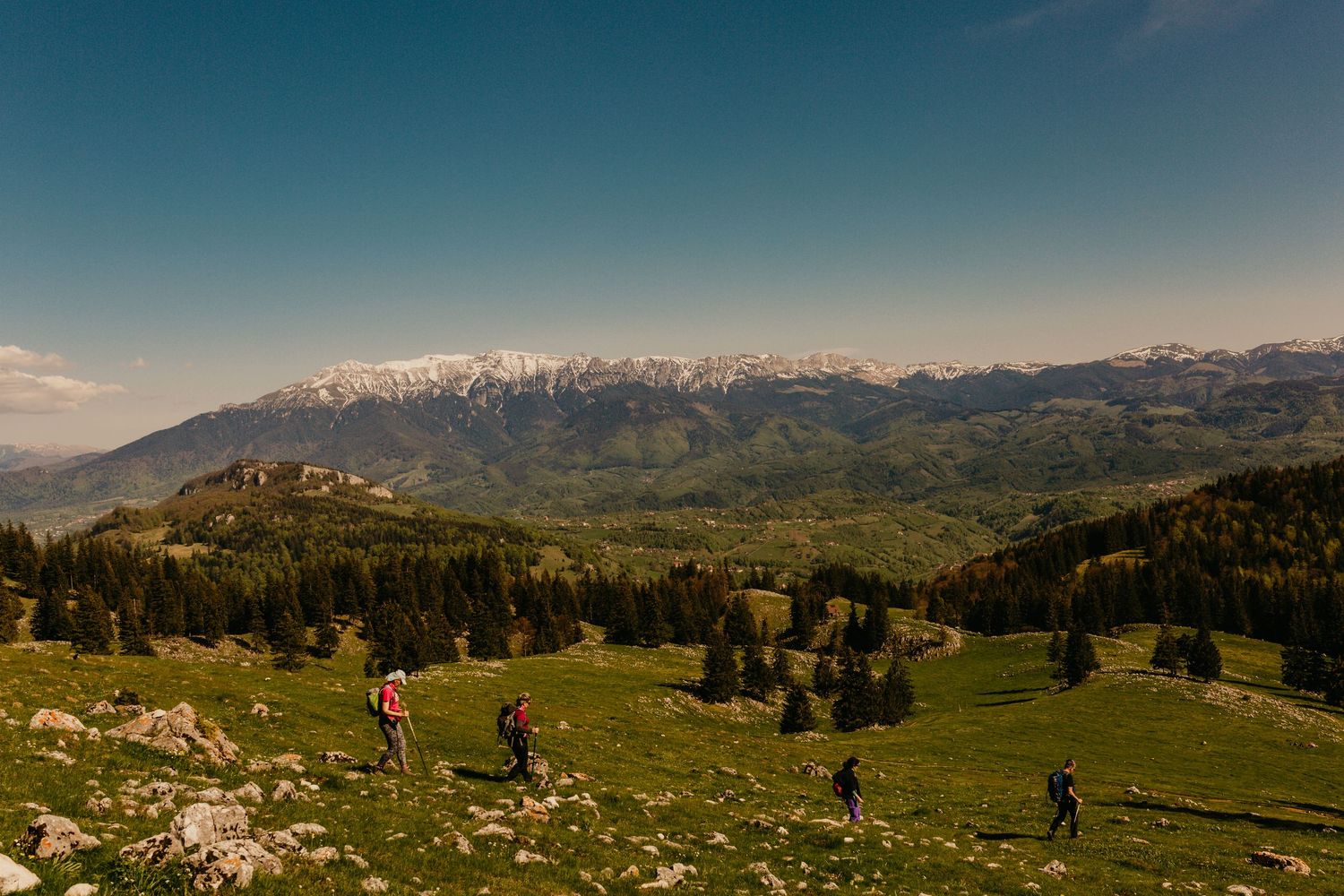 Hikers trekking across a lush green alpine meadow with snow-capped mountains and dense forests in the background.