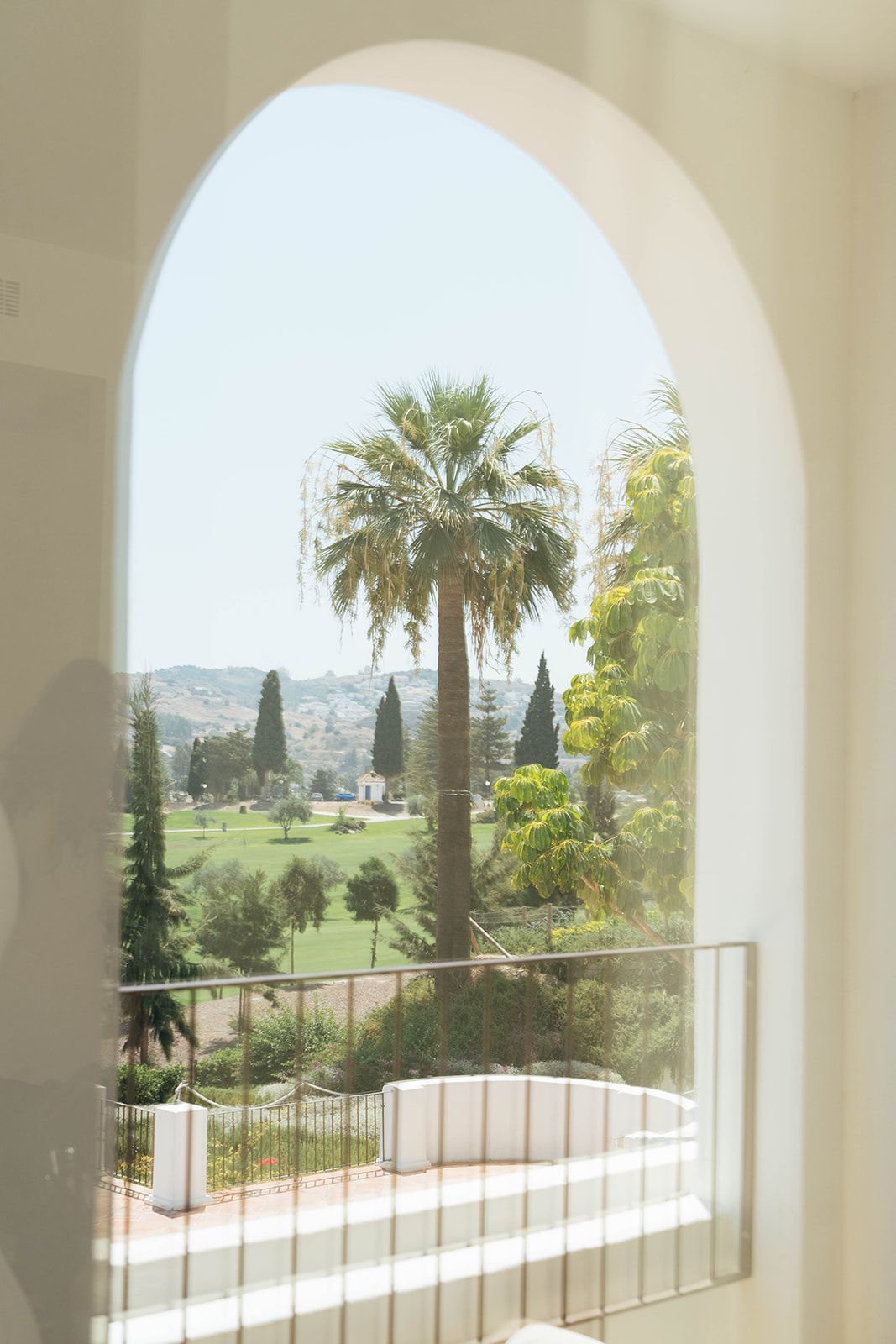 Wedding view of Palm trees in Malaga