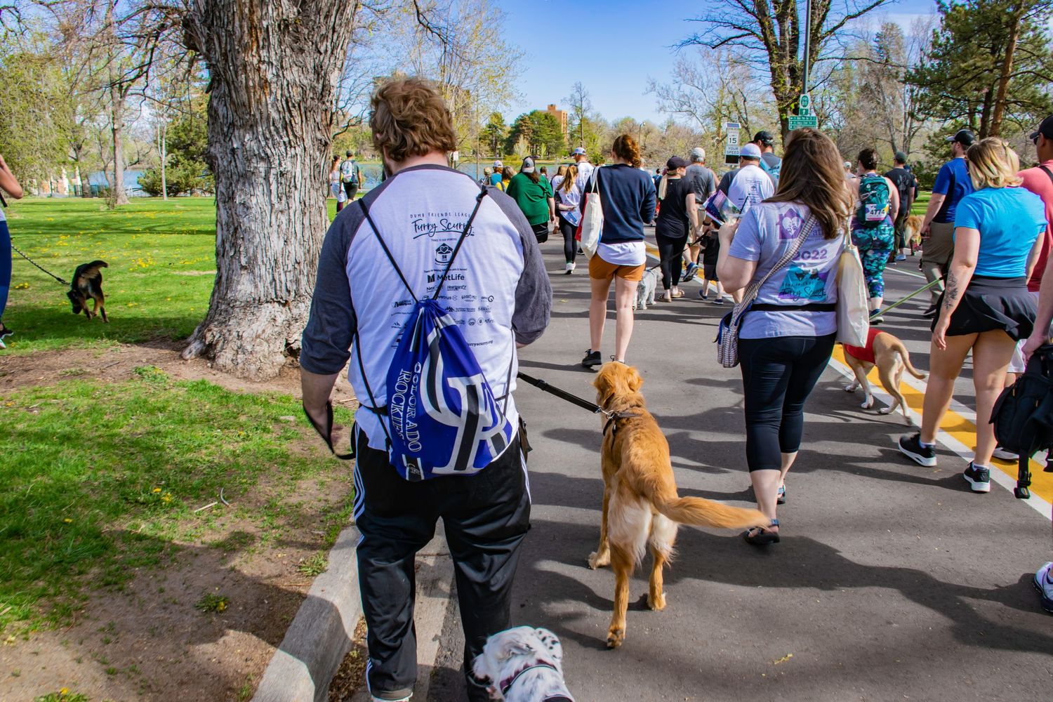 People and dogs walking on a path in a sunny park during a charity fun run event.