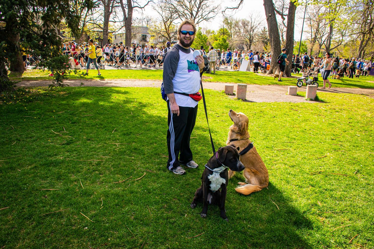 Man with two dogs on leashes standing on green grass at an outdoor park event on a sunny spring day.