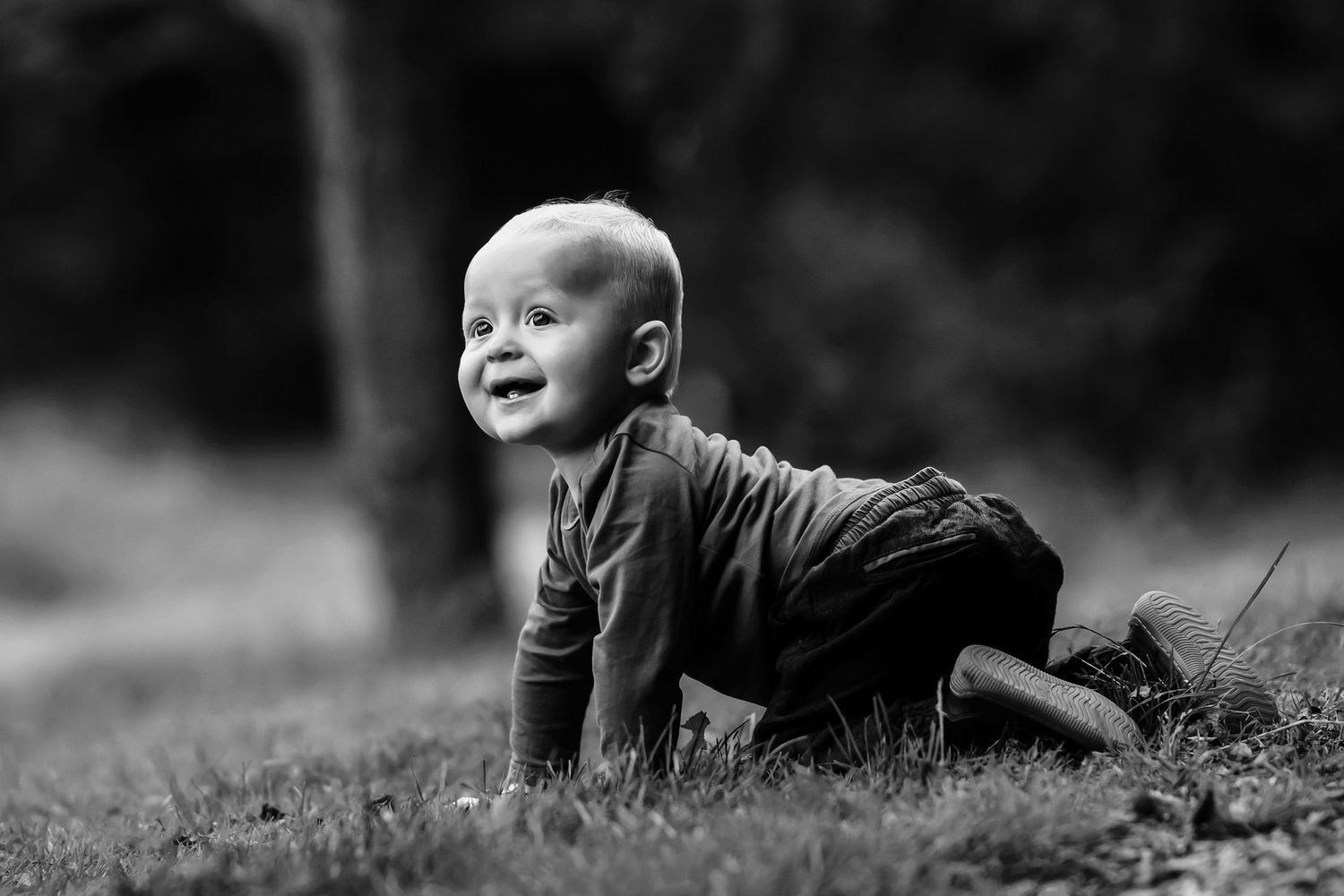 børnefotografering i skoven i hammel fotograf århus