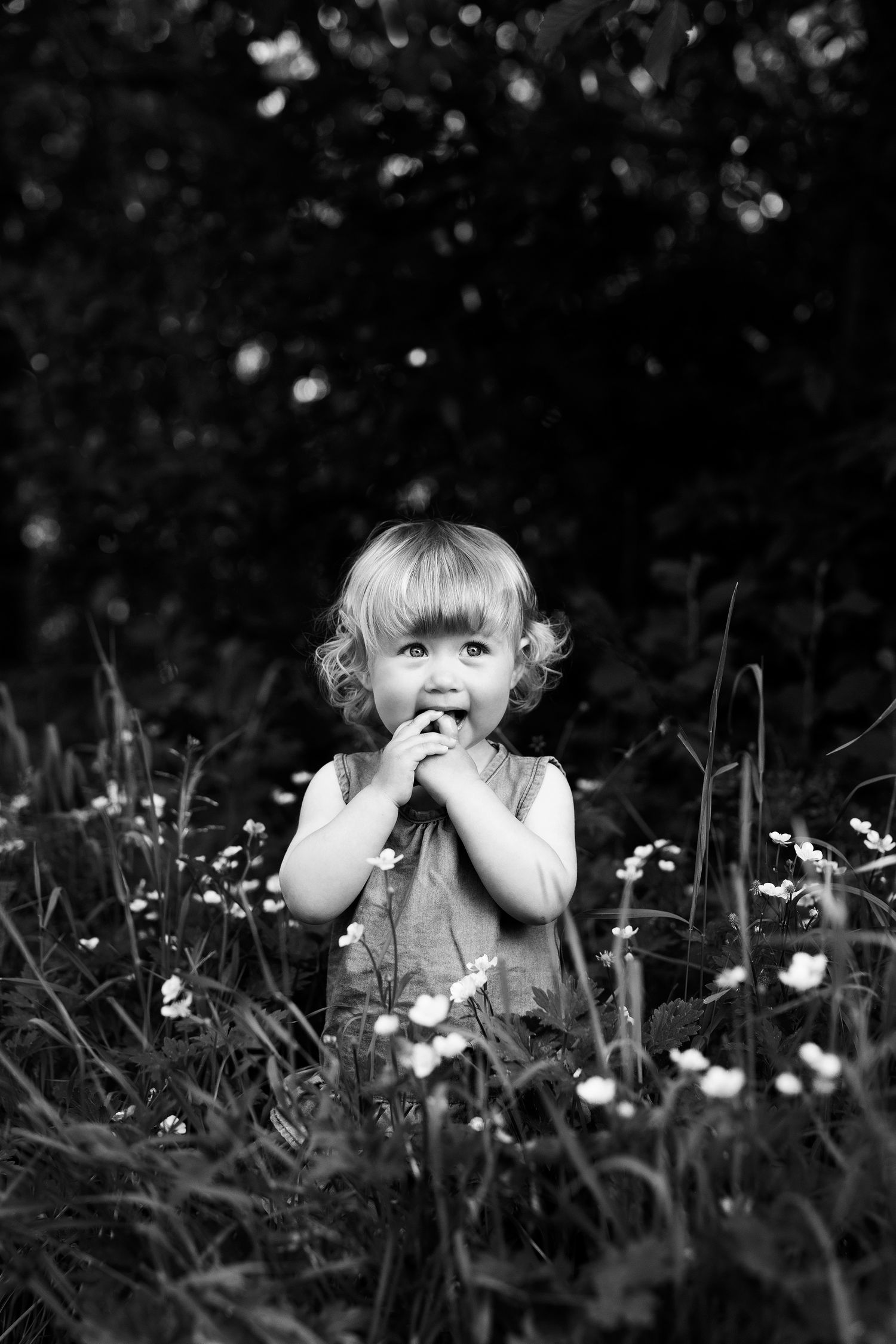 fotografering i blomster