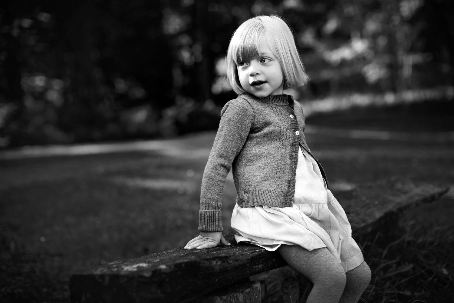 fotografering i skoven fotografering ved pøt mølle i hammel