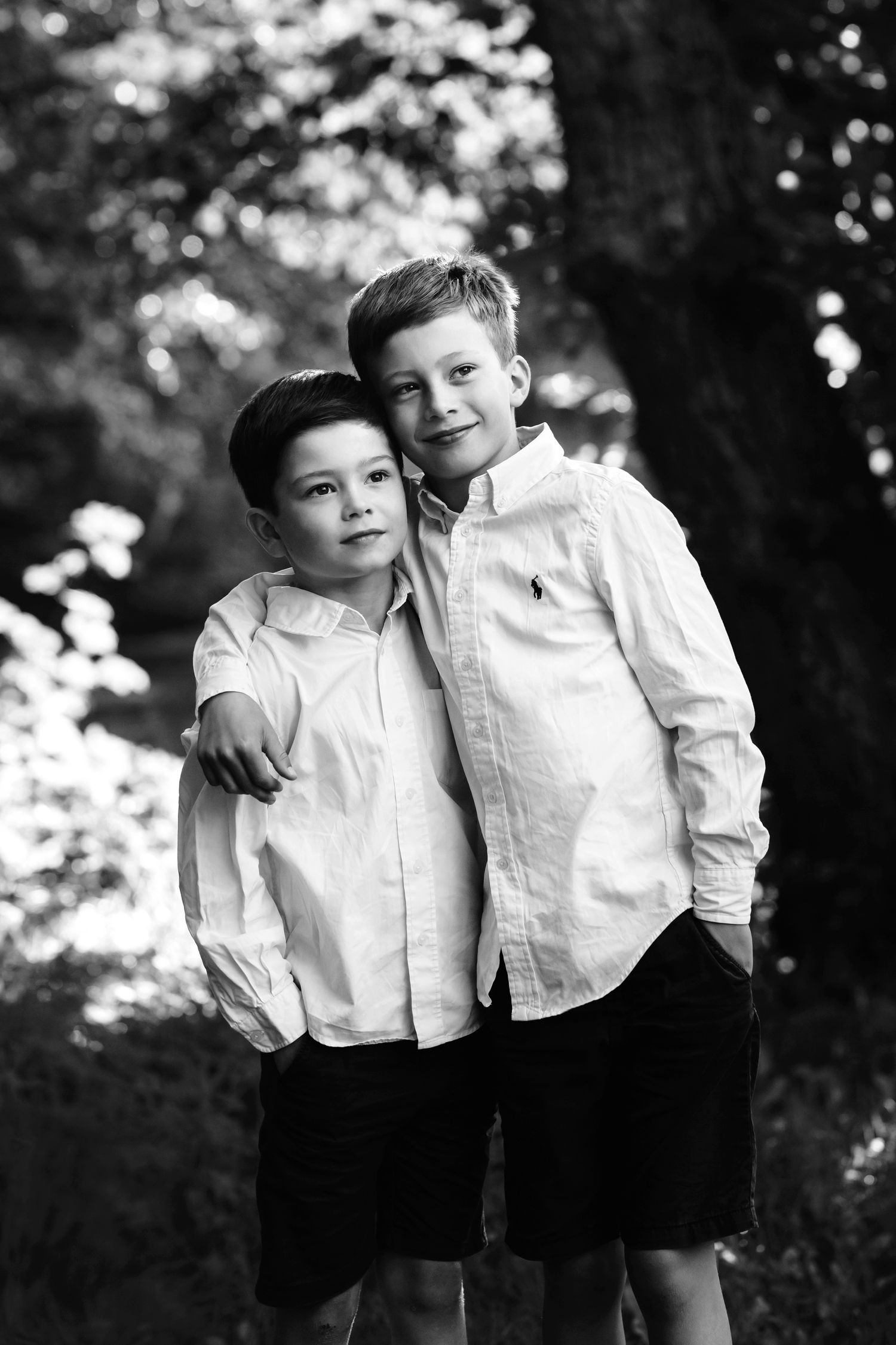 fotografering af skønne brødre i skoven fotografering i skoven hammel foto favrskov nær århus