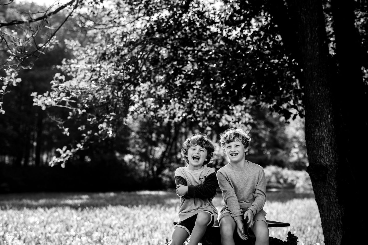 Altid en fornøjelse at fotografere brødre i skoven i det skønne vejr. Fotograf Jane Søndberg fotograferere din børn, lige som de er!