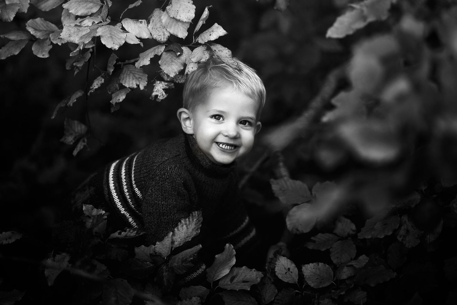 Fotografering inde i skoven, fotografering i midtjylland. Minder for livet!
