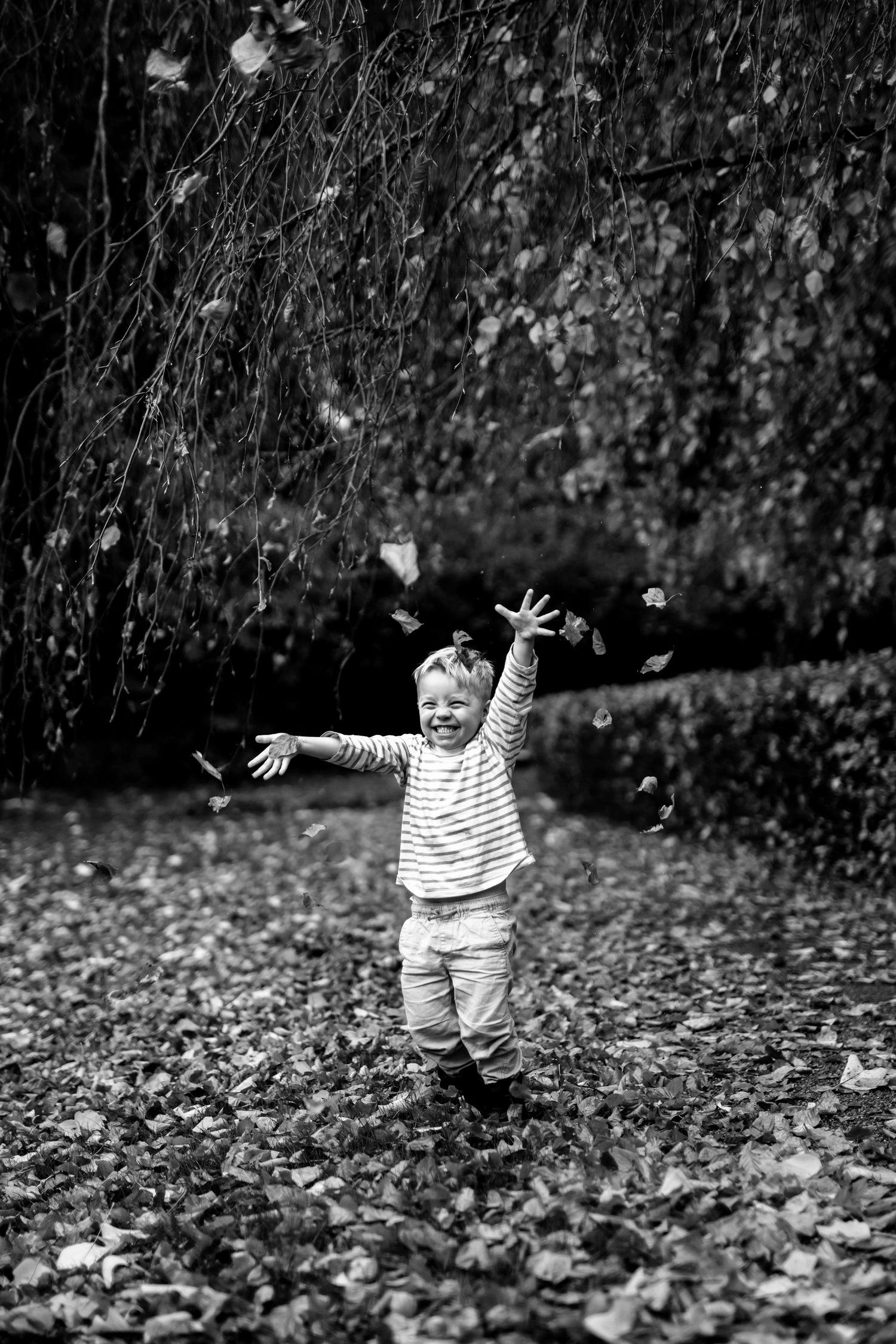 Efterårsfotografering i Århus, fotoshoot i Mindeparken med Fotograf Jane Søndberg.