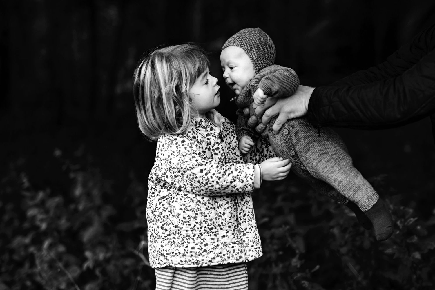 Tag hellere end gerne din nyfødte med til fotografering i skoven med Fotograf Jane Søndberg. Nyfødtfotografering. Familiefoto.