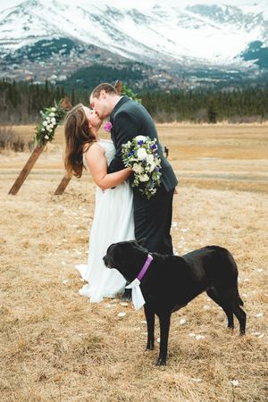Bride and groom kissing at mountain wedding with black Labrador dog wearing purple collar in foreground.