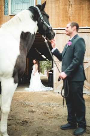 Bride in white gown stands in barn doorway as groom in dark suit holds a black and white paint horse.