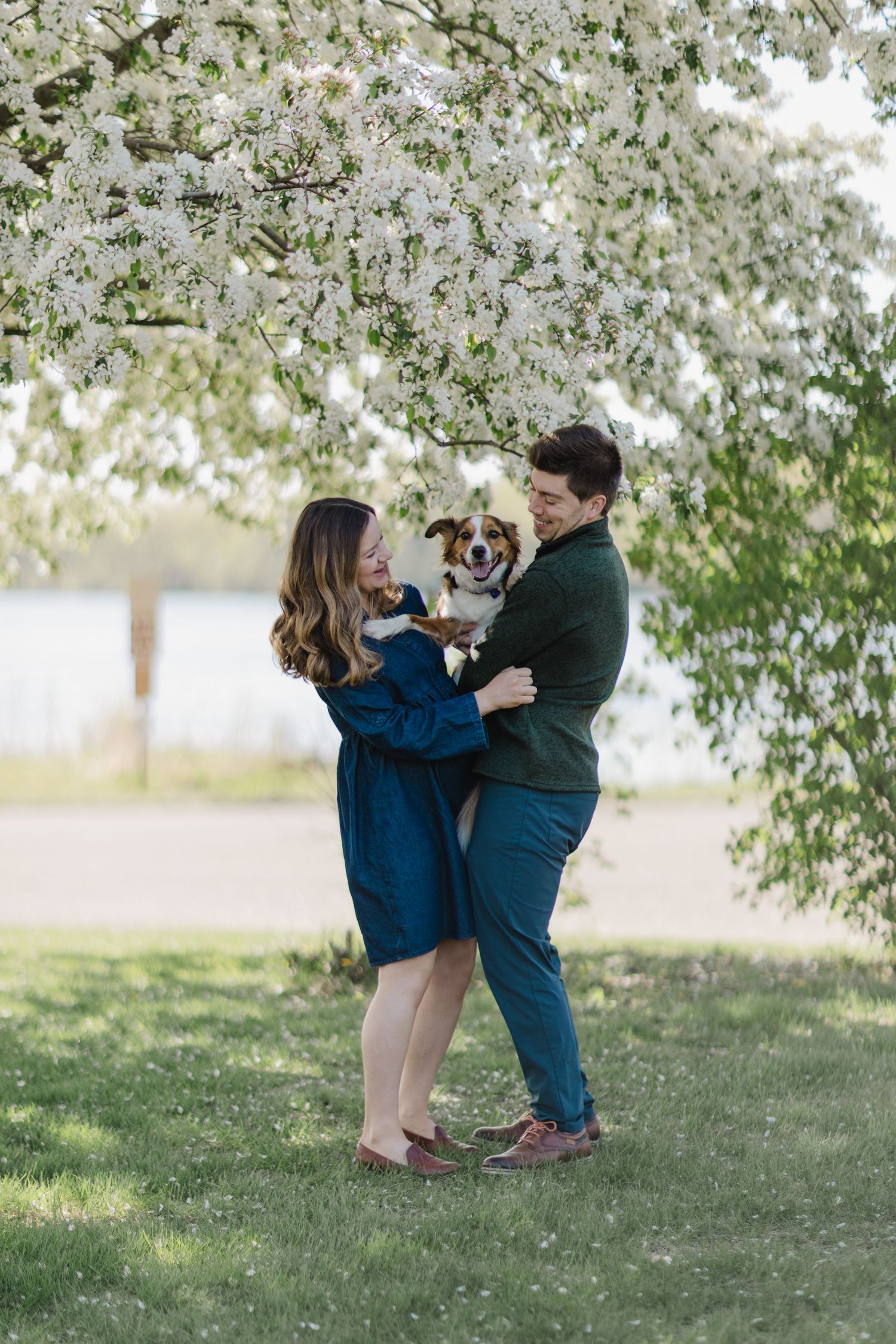 A mom and dad-to-be hugging their puppy dog under a flowering tree at Normandale lake during a Bloomington, Minnesota maternity photography