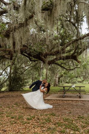 Groom dipping bride in a romantic kiss under sprawling Spanish moss-covered oak tree outdoors.