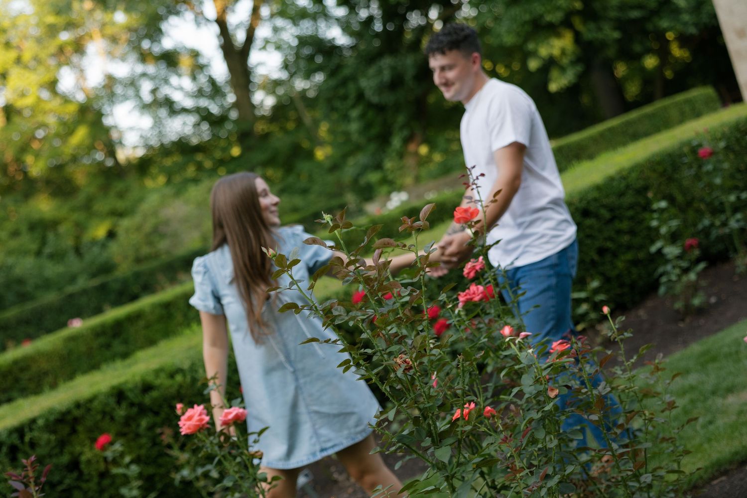 Couple sharing a romantic moment among blooming red roses in a lush garden setting.