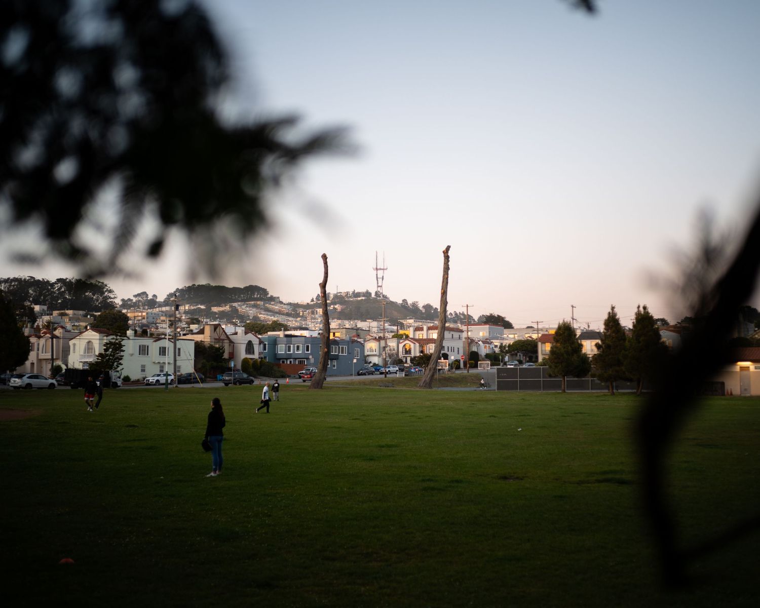 Misty San Francisco park at dusk with tall trees, green lawn, and residential buildings under overcast skies.