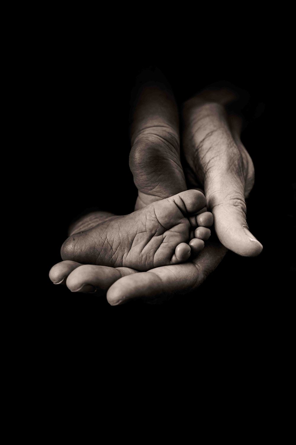 Newborn photos Vincentia Jervis-bay-Macro-photography