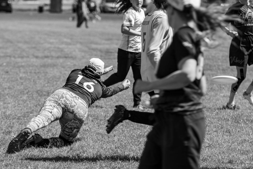 Player #16 dives to catch a frisbee during an ultimate frisbee game on a grass field, black and white photo.