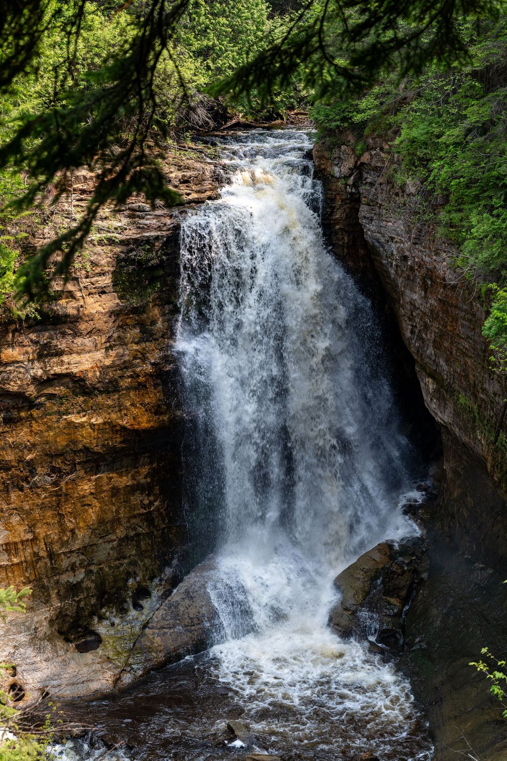 A powerful waterfall cascades down golden sandstone cliffs surrounded by lush green forest trees.