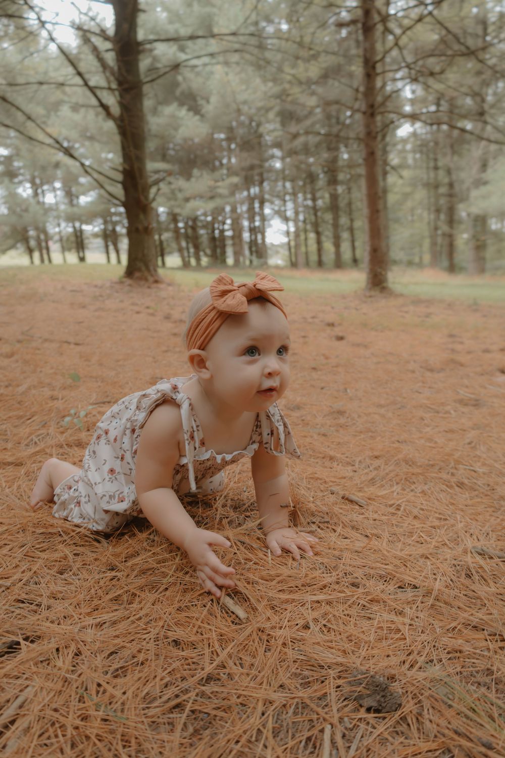A baby crawls on soft pine needles scattered across the forest floor while exploring nature.